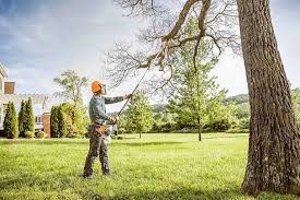 Best Storm Damage Tree Cleanup  in Hampden Sydney, VA