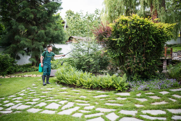 Best Tree Health Inspection  in Hampden Sydney, VA